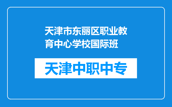 天津市东丽区职业教育中心学校国际班