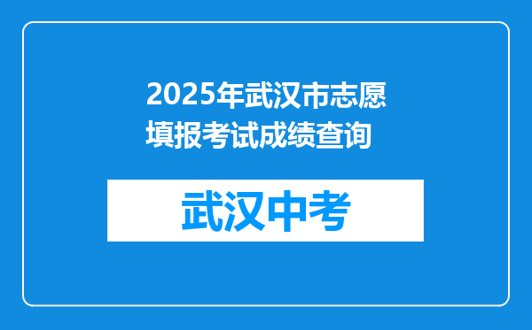 2025年武汉市志愿填报考试成绩查询