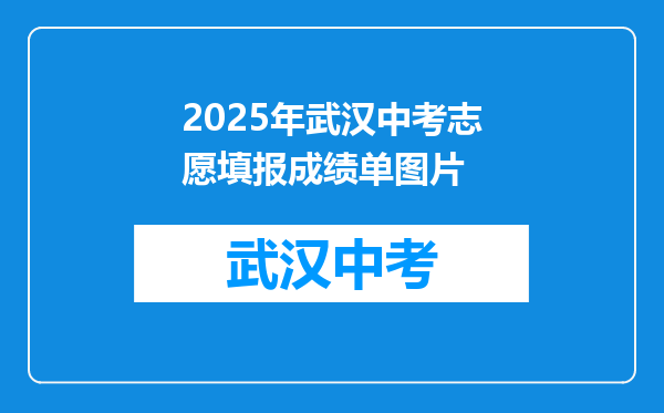 2025年武汉中考志愿填报成绩单图片