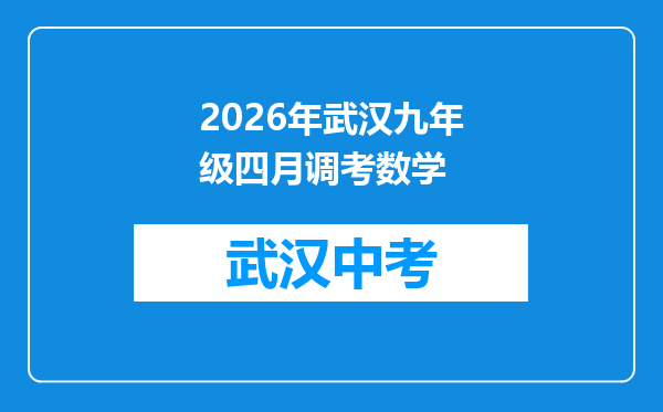 2026年武汉九年级四月调考数学