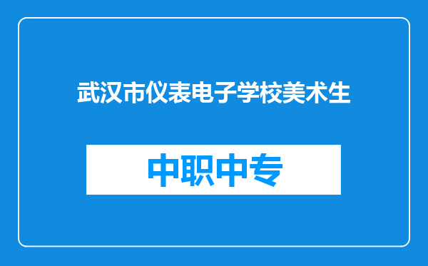 武汉市仪表电子学校美术生