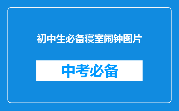 初中生必备寝室闹钟图片