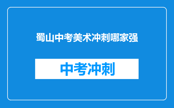 蜀山中考美术冲刺哪家强